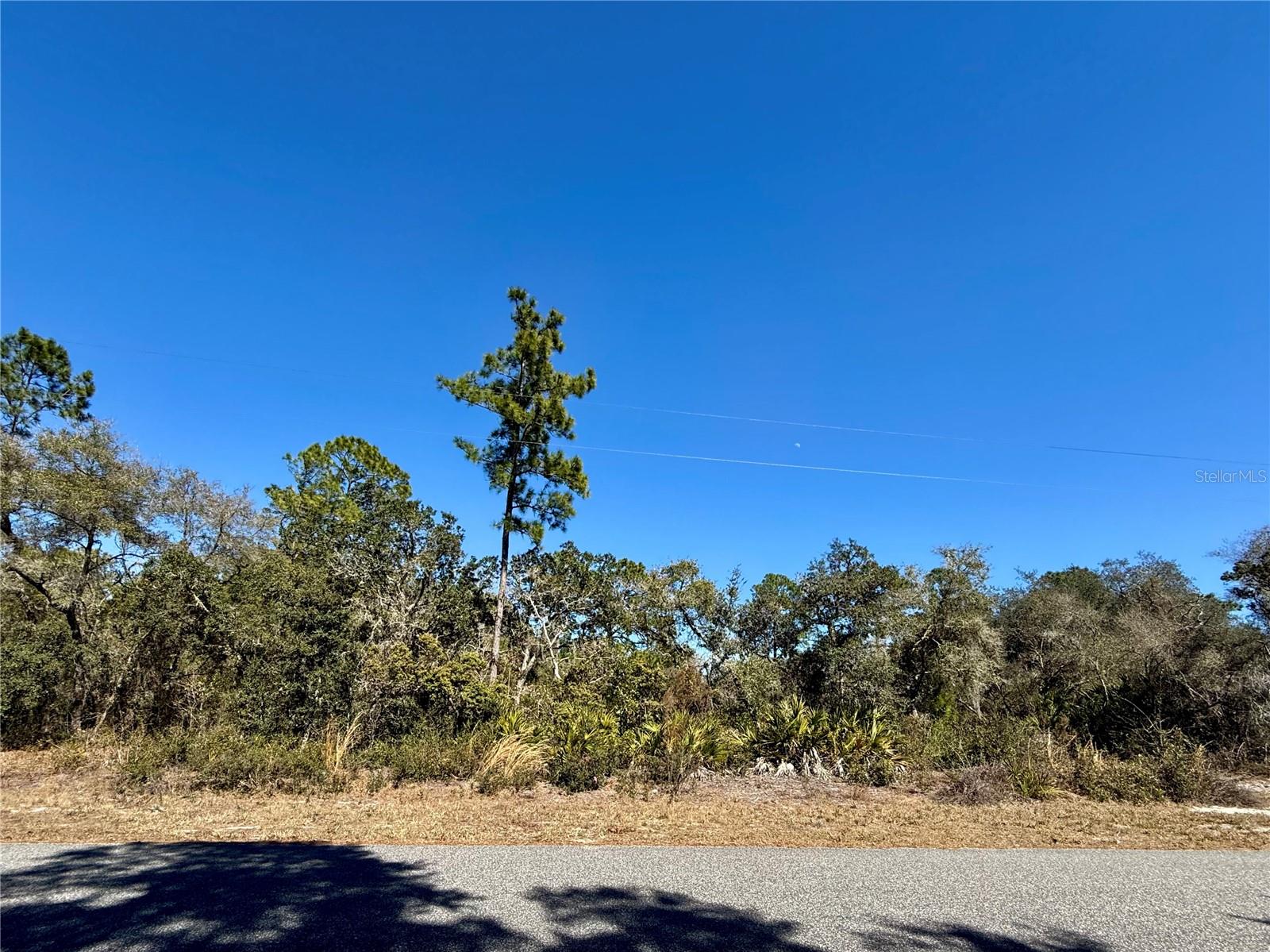 Image 19 of 28 For Lot 11 Poinciana Street