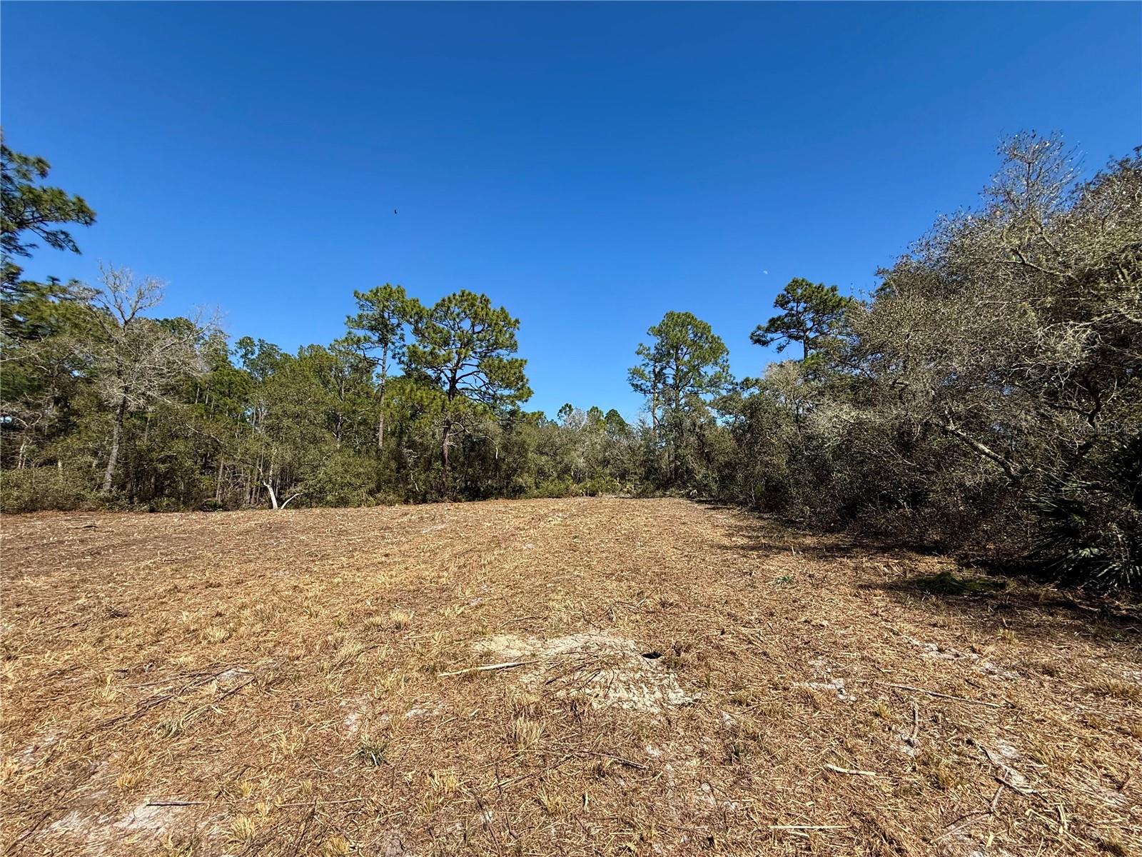 Image 2 of 28 For Lot 11 Poinciana Street