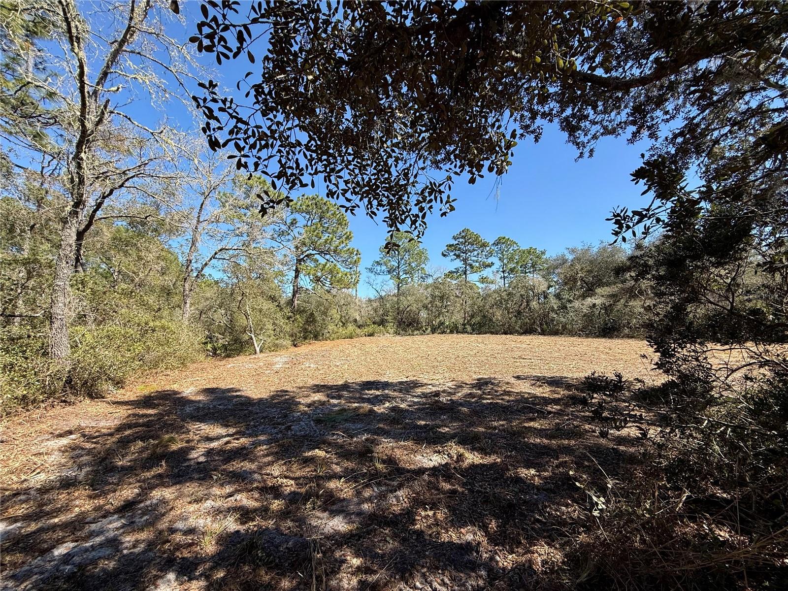 Image 20 of 28 For Lot 11 Poinciana Street