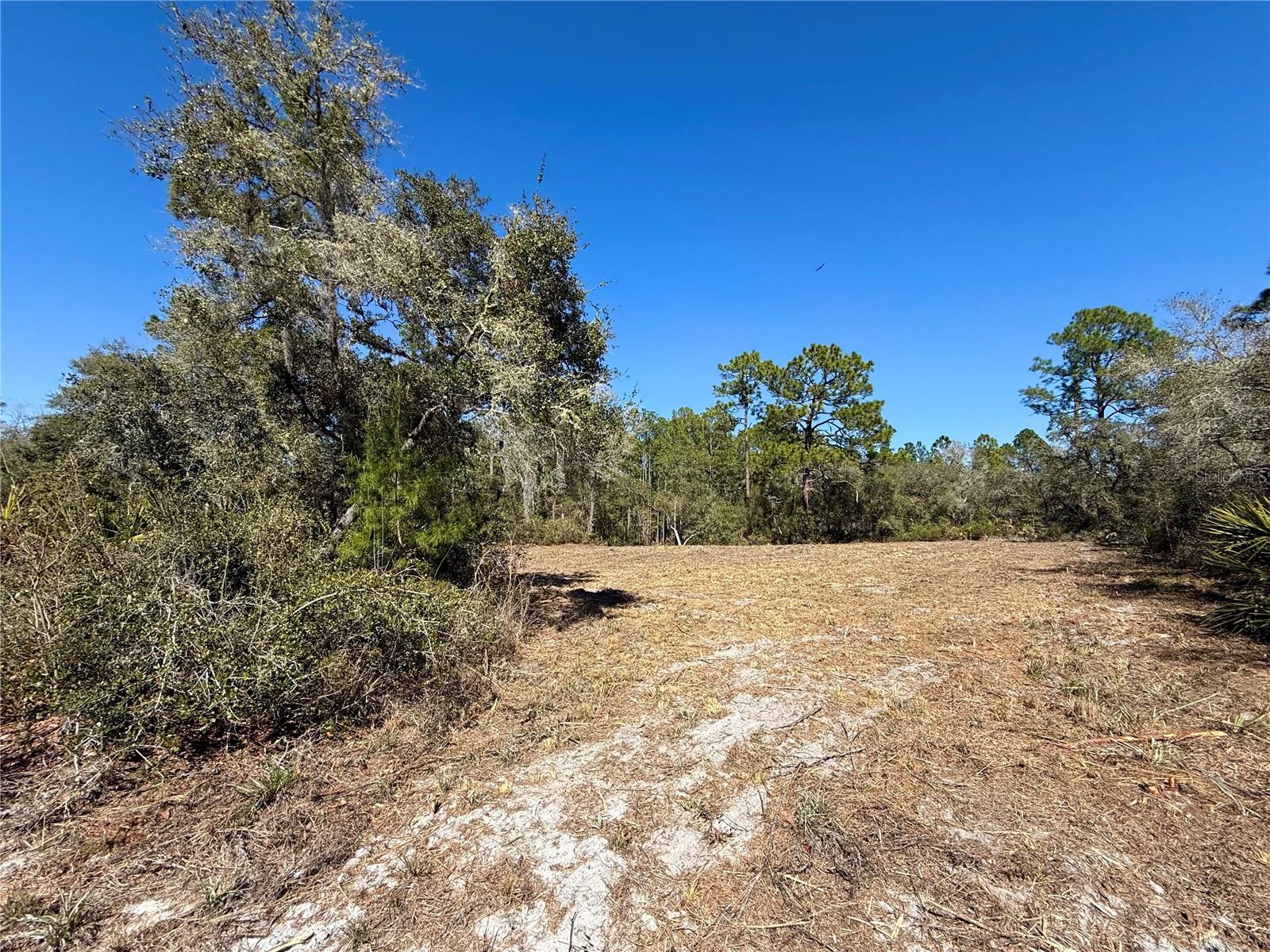Image 4 of 28 For Lot 11 Poinciana Street