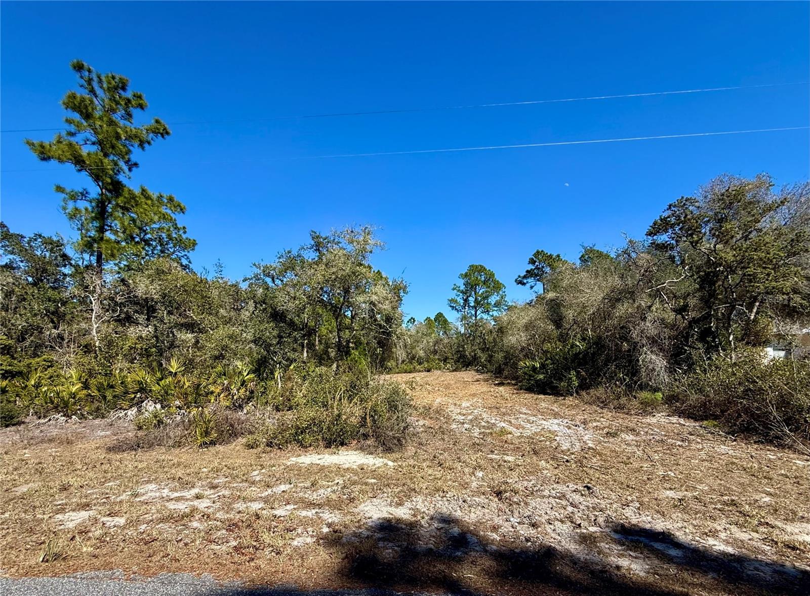 Image 5 of 28 For Lot 11 Poinciana Street