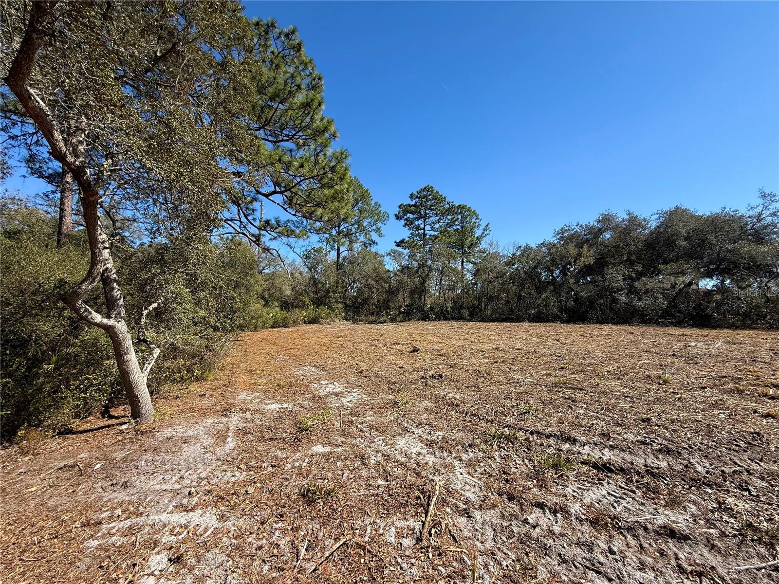 Image 8 of 28 For Lot 11 Poinciana Street