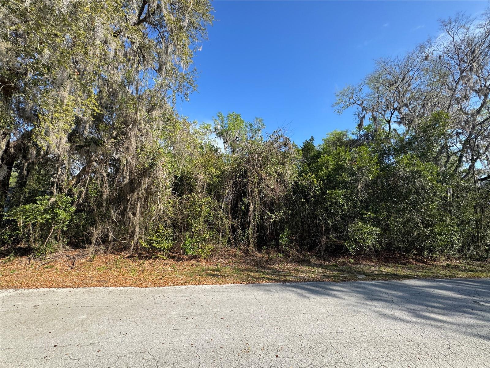 Details for  Cr 482c  , LAKE PANASOFFKEE, FL 33538