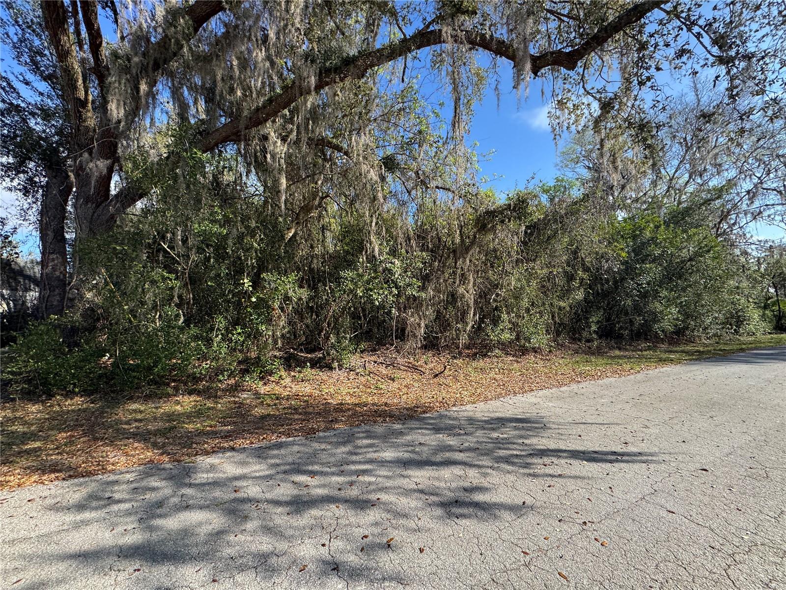 Image 6 of 8 For  Cr 482c  