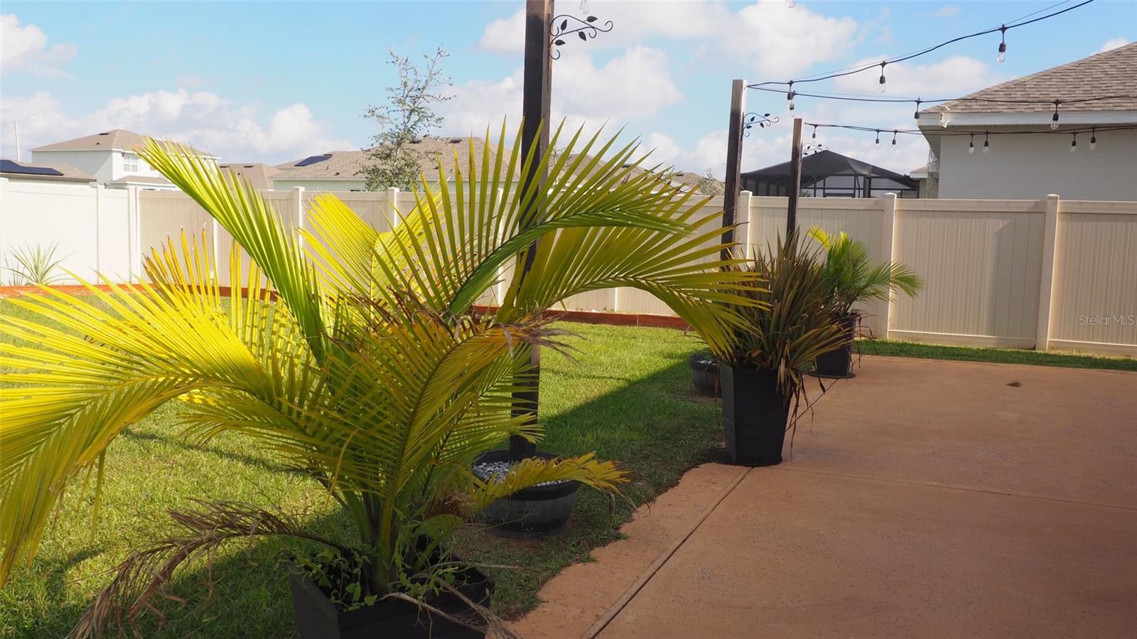 Image 6 of 39 For 216 Denali Street