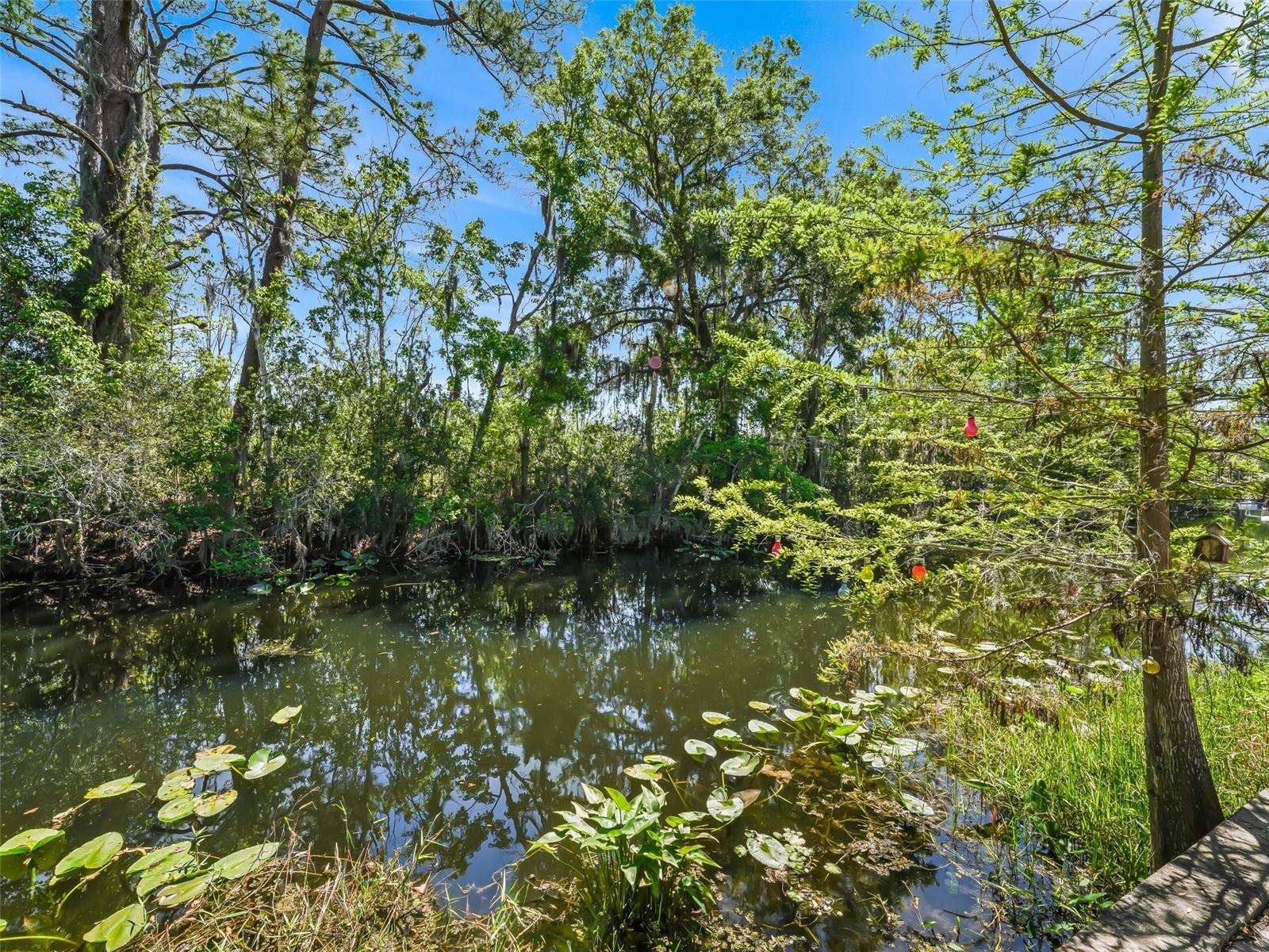 Image 30 of 56 For 34826 Learn Road