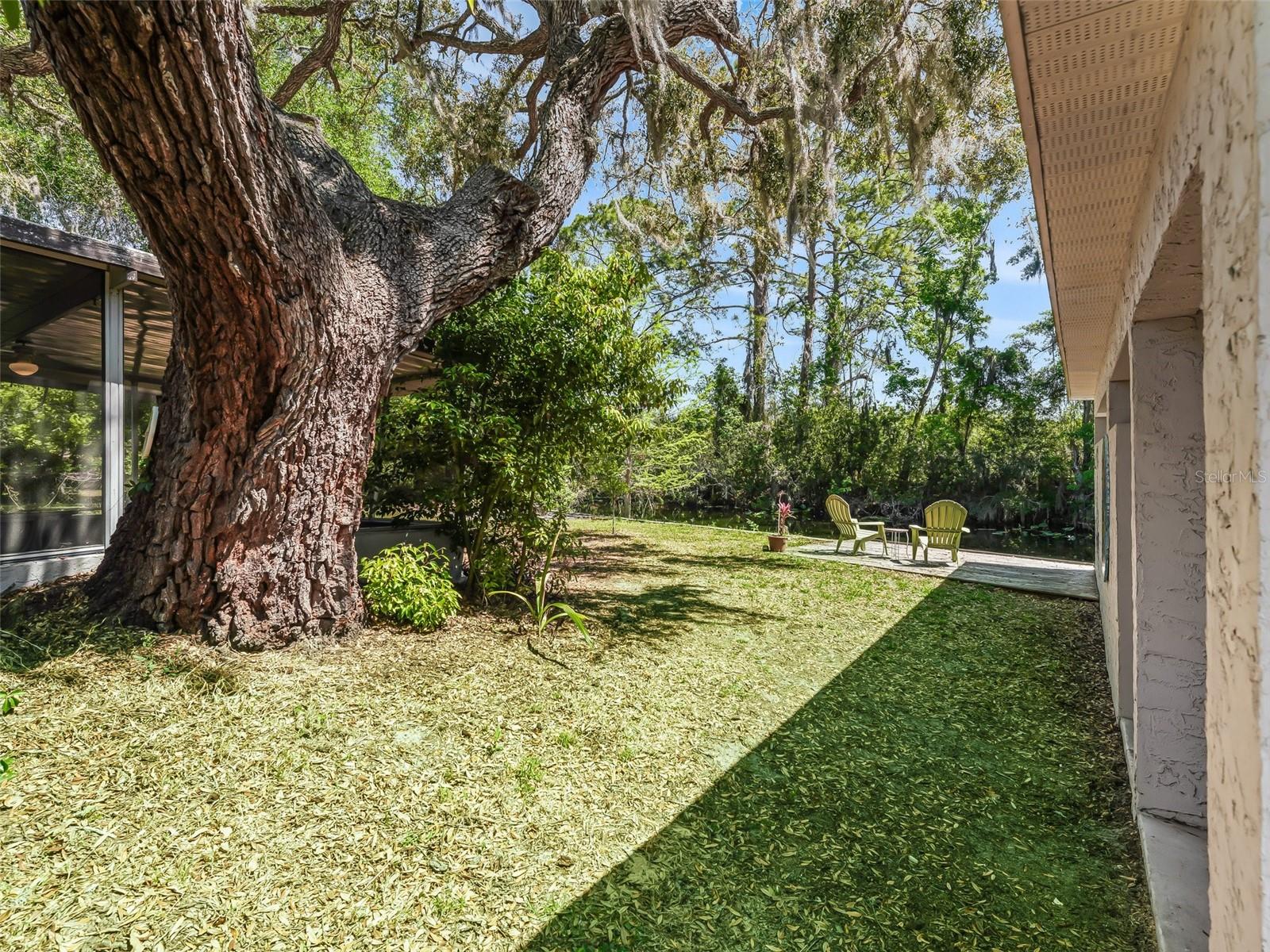 Image 37 of 56 For 34826 Learn Road