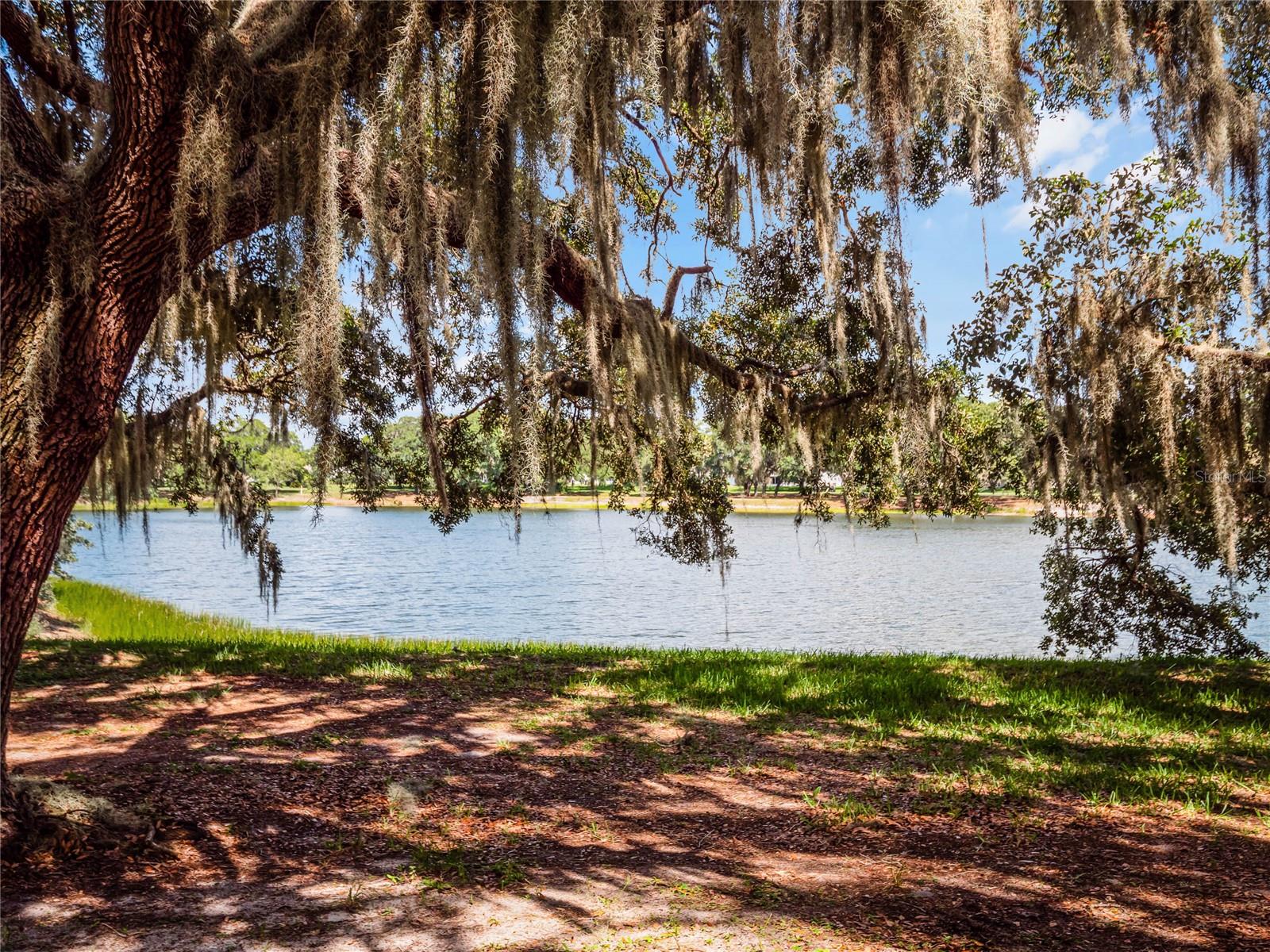 Image 80 of 93 For 26842 Forest Hills Street