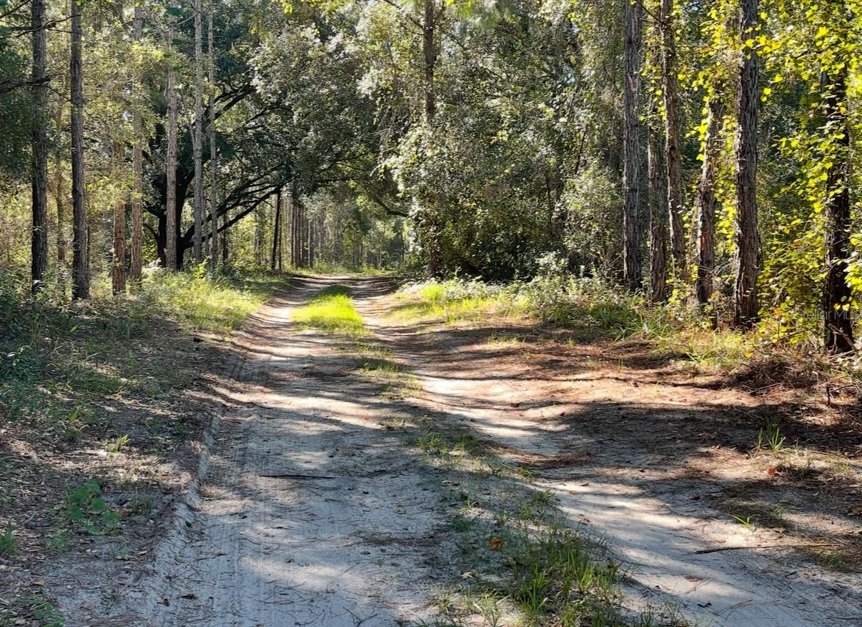 Image 15 of 17 For 19751 County Road 33