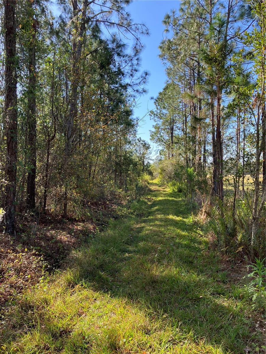 Image 39 of 43 For 4620 405th Street E