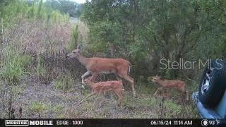 Image 42 of 43 For 4620 405th Street E