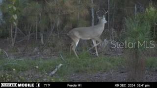 Image 43 of 43 For 4620 405th Street E