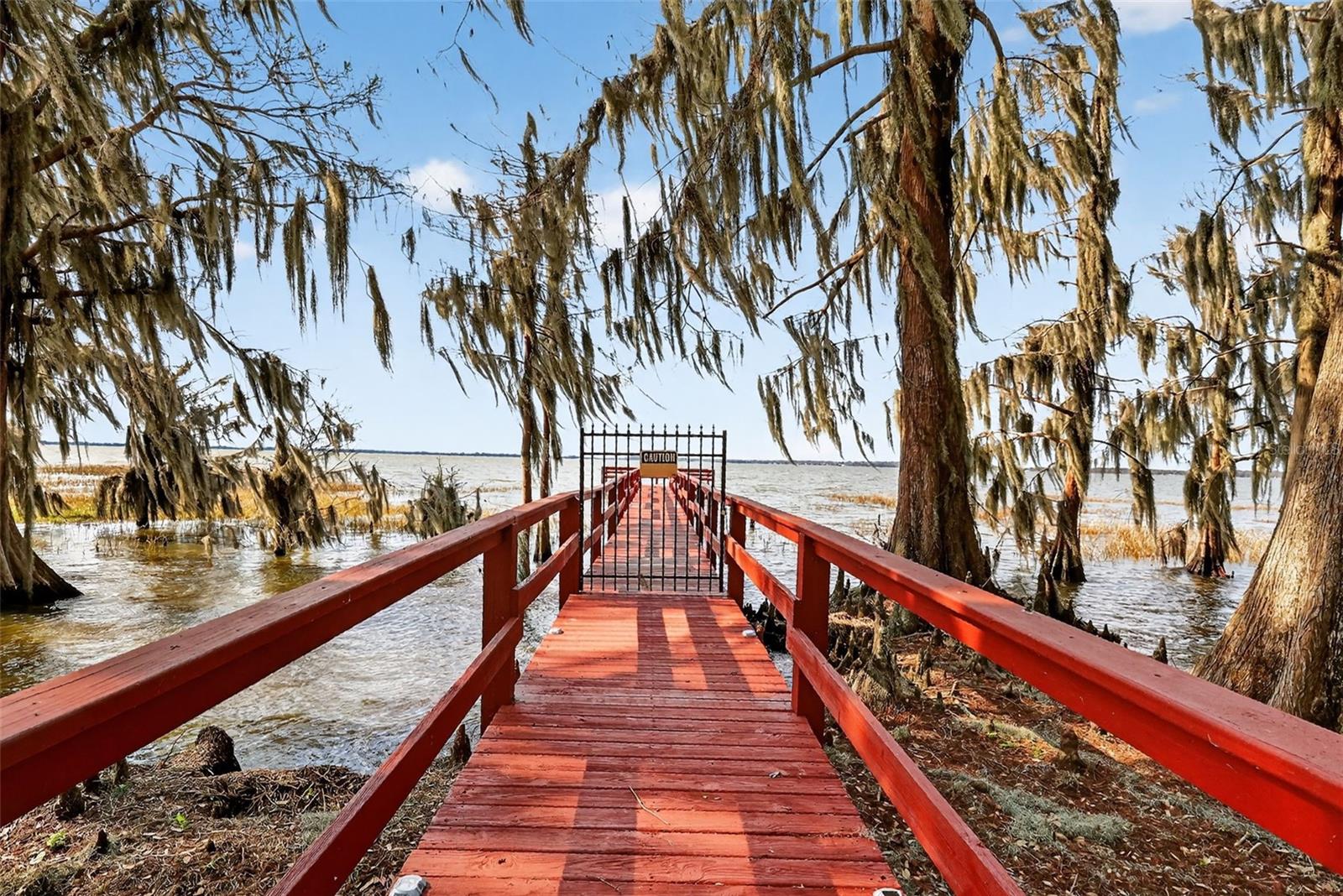 Image 39 of 49 For 1242 Palmetto Road