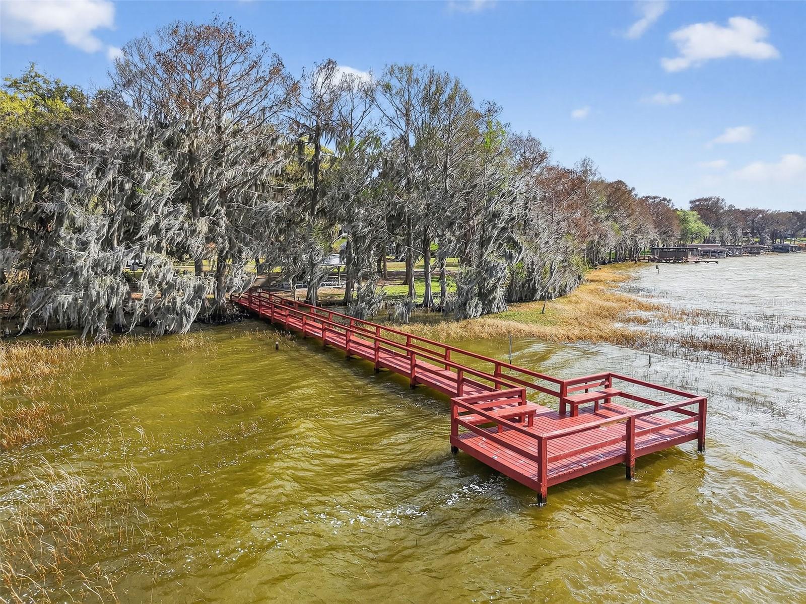 Image 42 of 49 For 1242 Palmetto Road