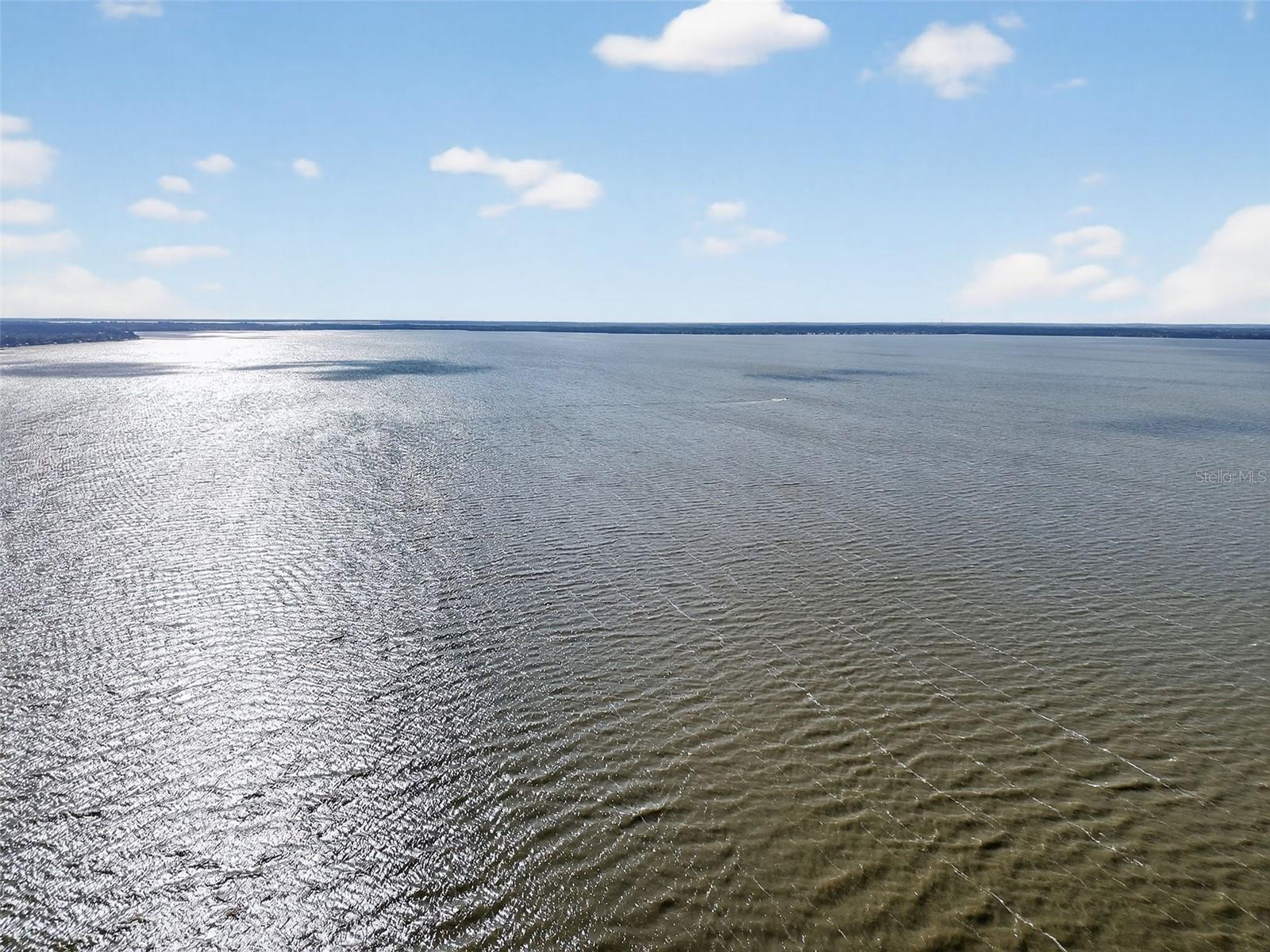 Image 43 of 49 For 1242 Palmetto Road