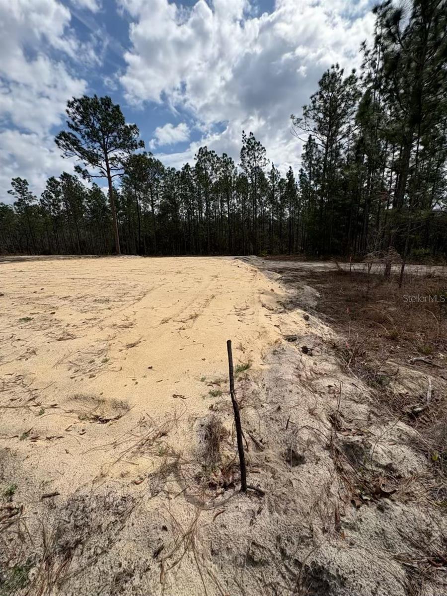 Image 5 of 11 For 2395 81st Avenue