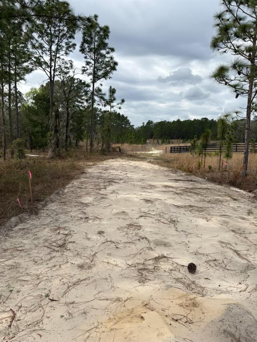 Image 7 of 11 For 2395 81st Avenue