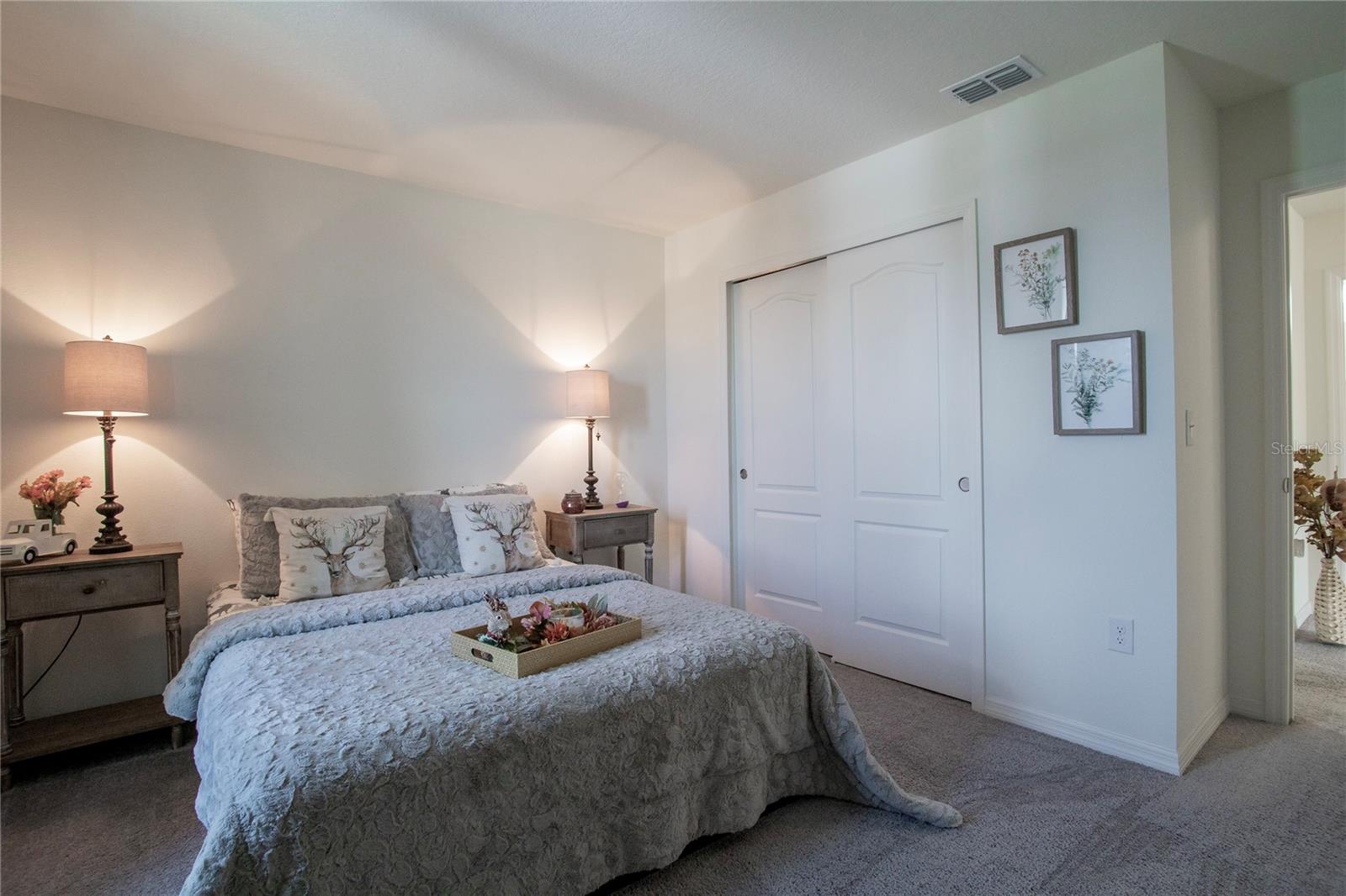 Image 22 of 53 For 605 Sarner Pass Way