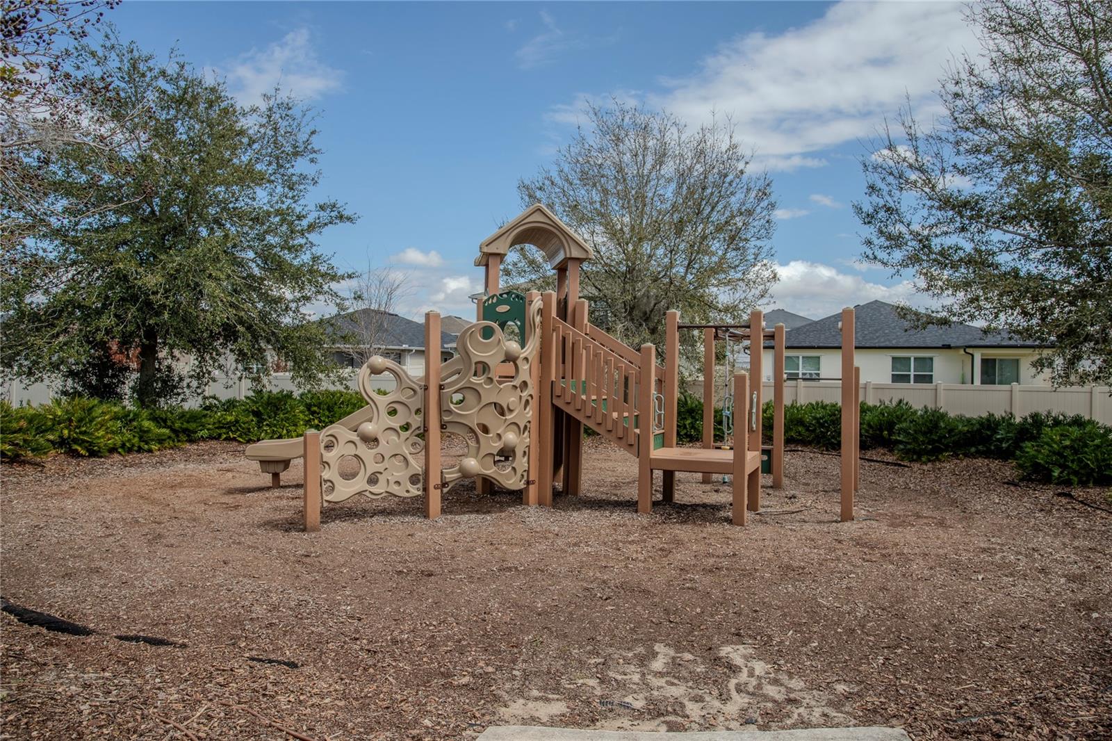 Image 51 of 53 For 605 Sarner Pass Way