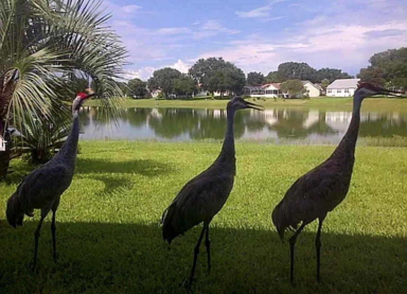 Image 21 of 23 For 307 Del Mar Drive