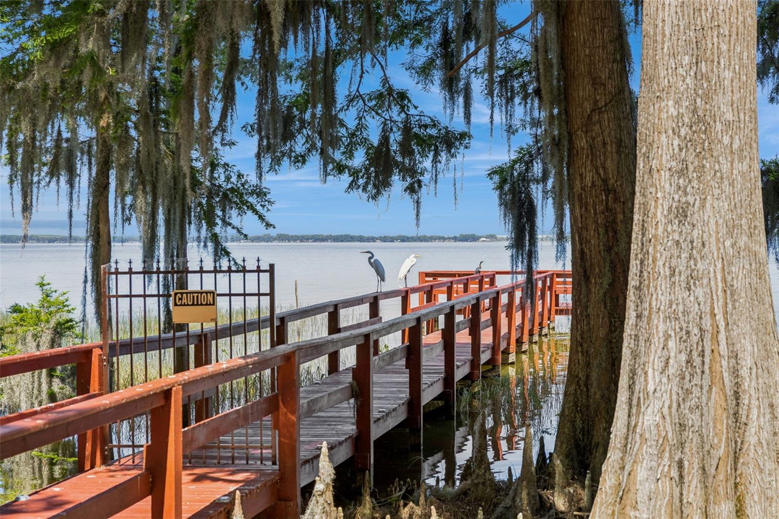 Image 34 of 48 For 1224 Palmetto Road