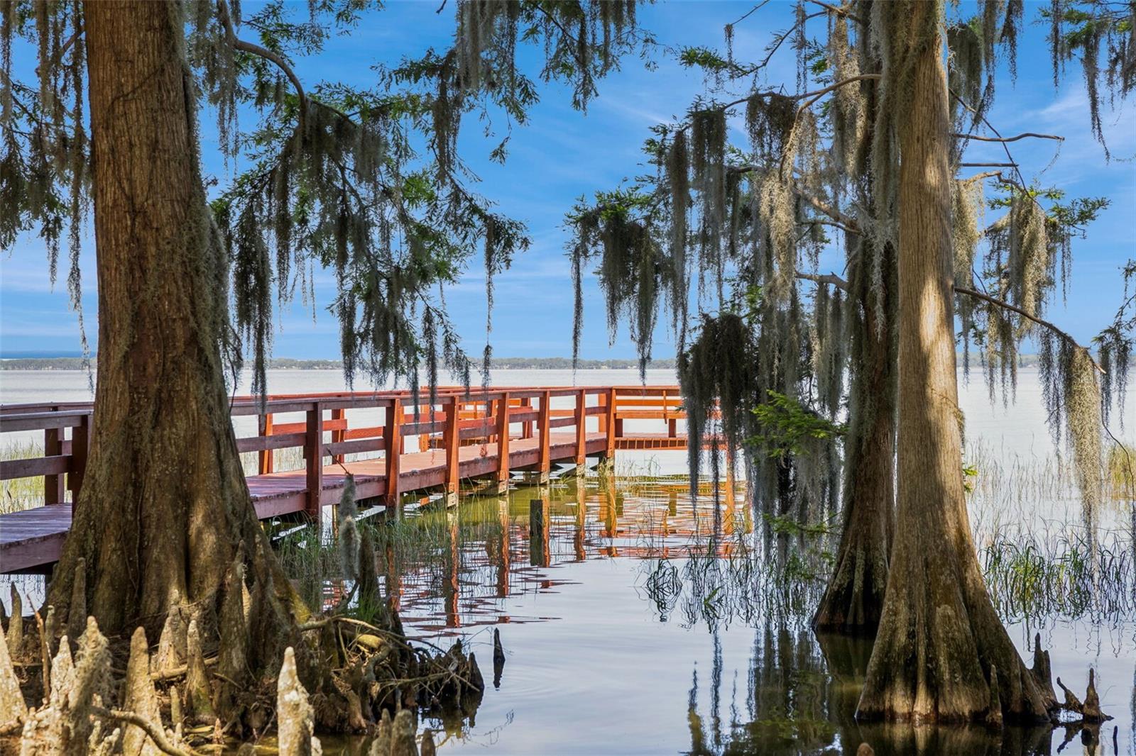 Image 35 of 48 For 1224 Palmetto Road