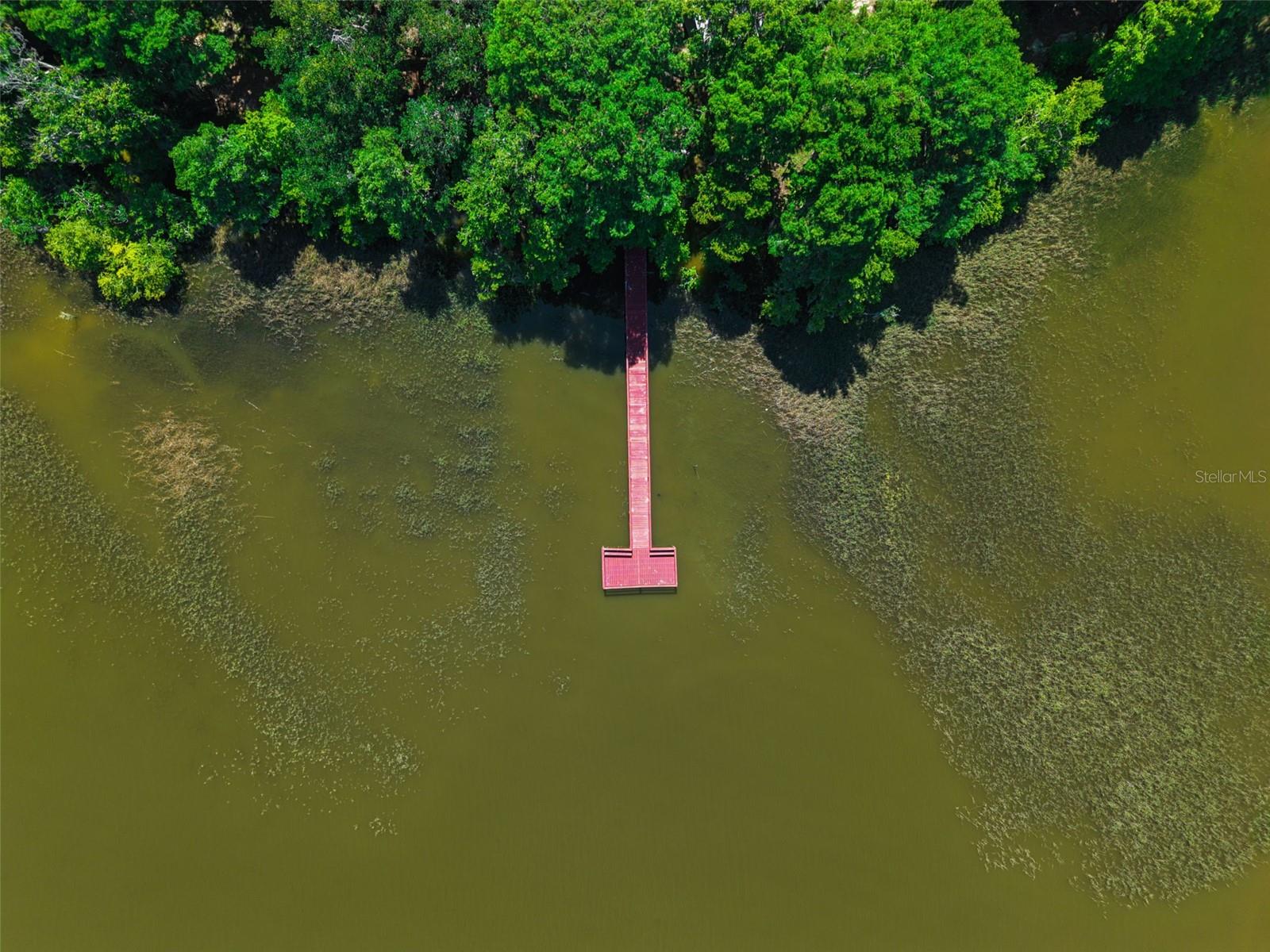 Image 36 of 48 For 1224 Palmetto Road