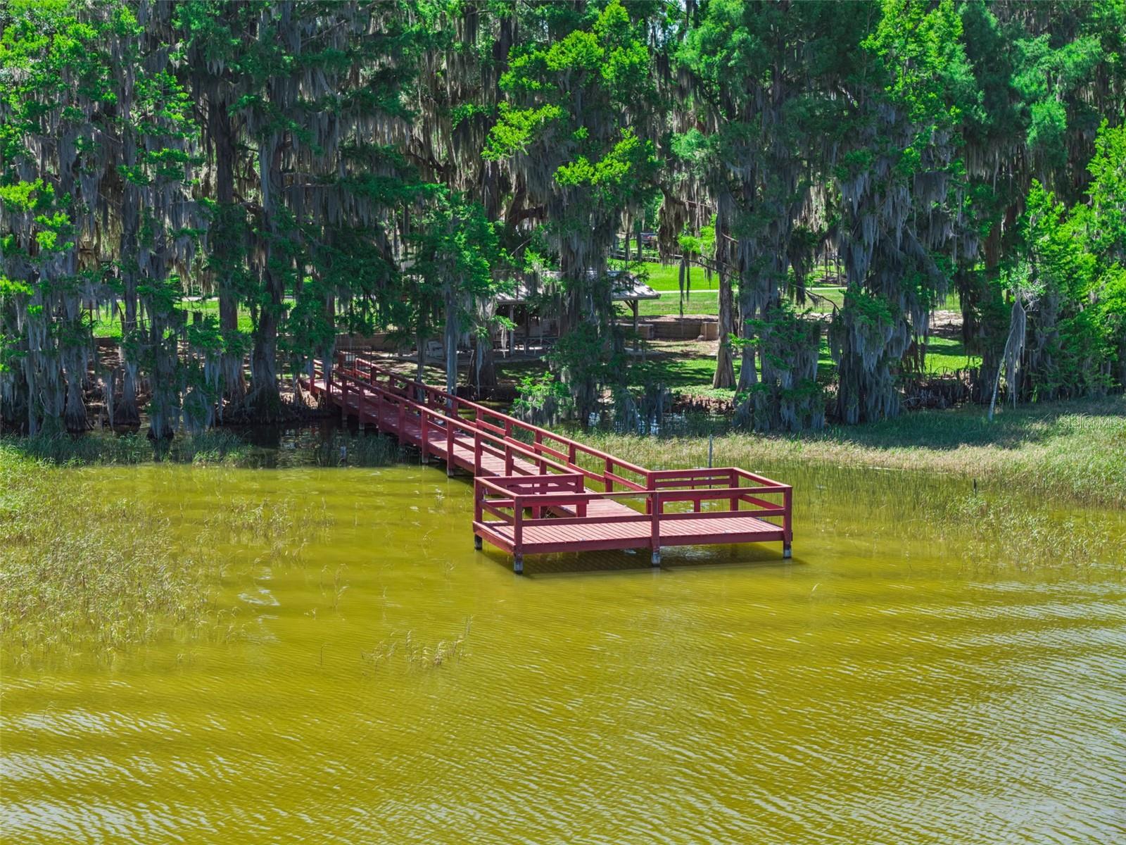 Image 37 of 48 For 1224 Palmetto Road