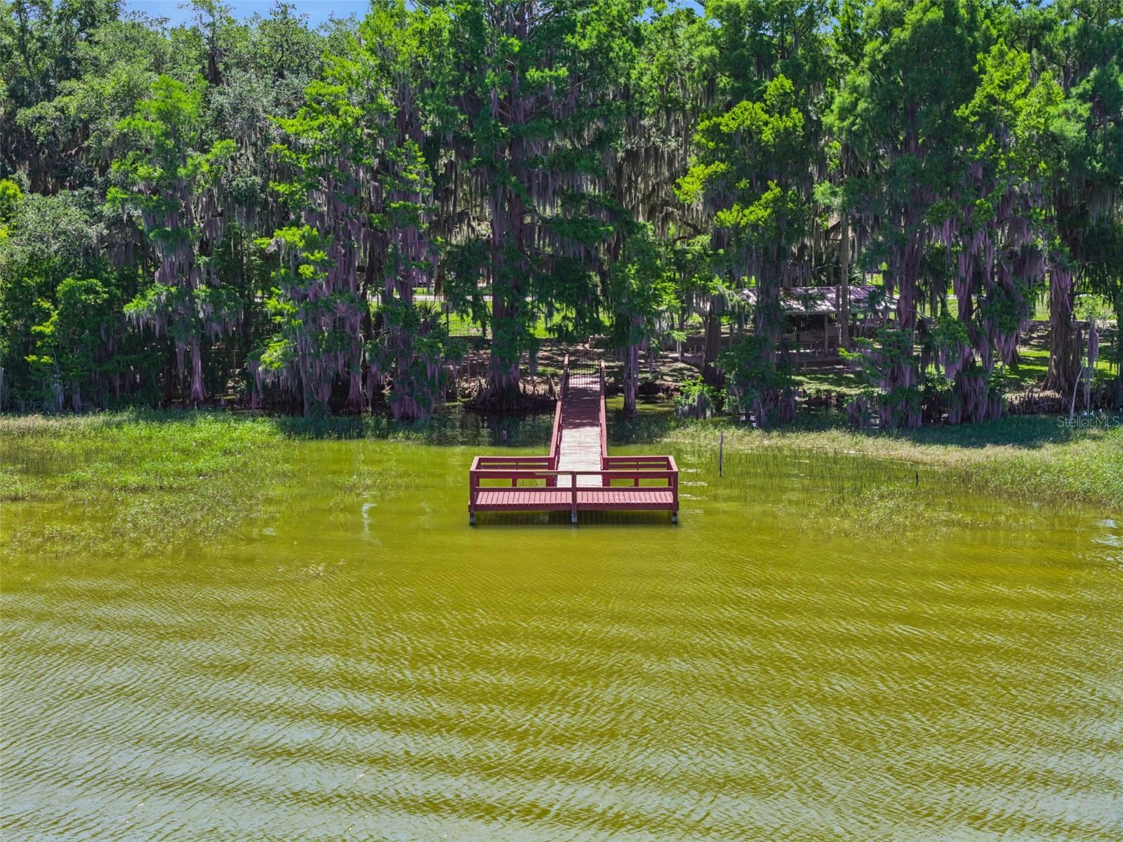 Image 38 of 48 For 1224 Palmetto Road