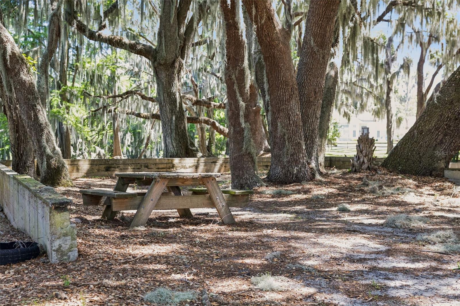 Image 41 of 48 For 1224 Palmetto Road