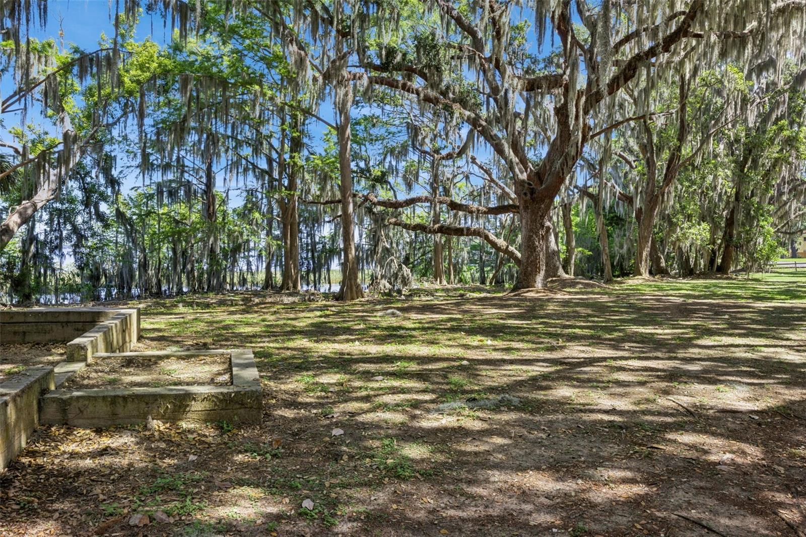 Image 43 of 48 For 1224 Palmetto Road