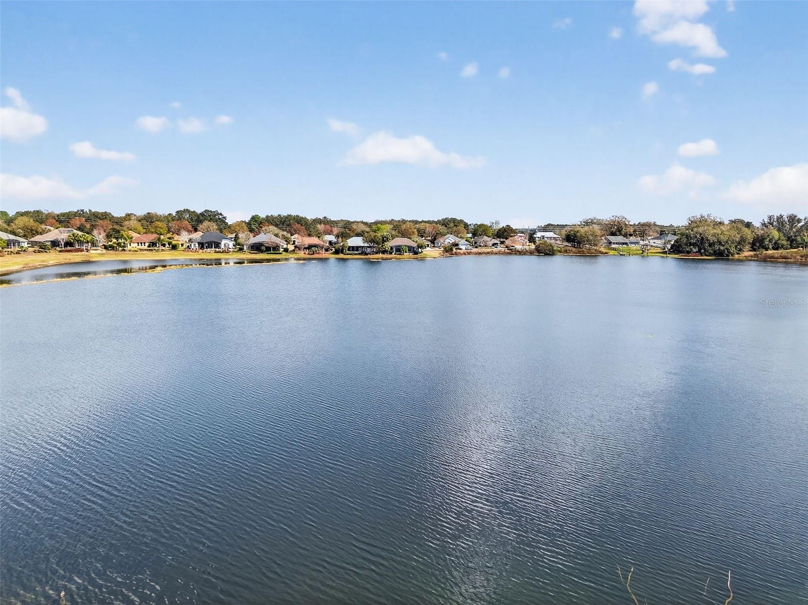 Image 43 of 51 For 8124 Bridgeport Bay Circle