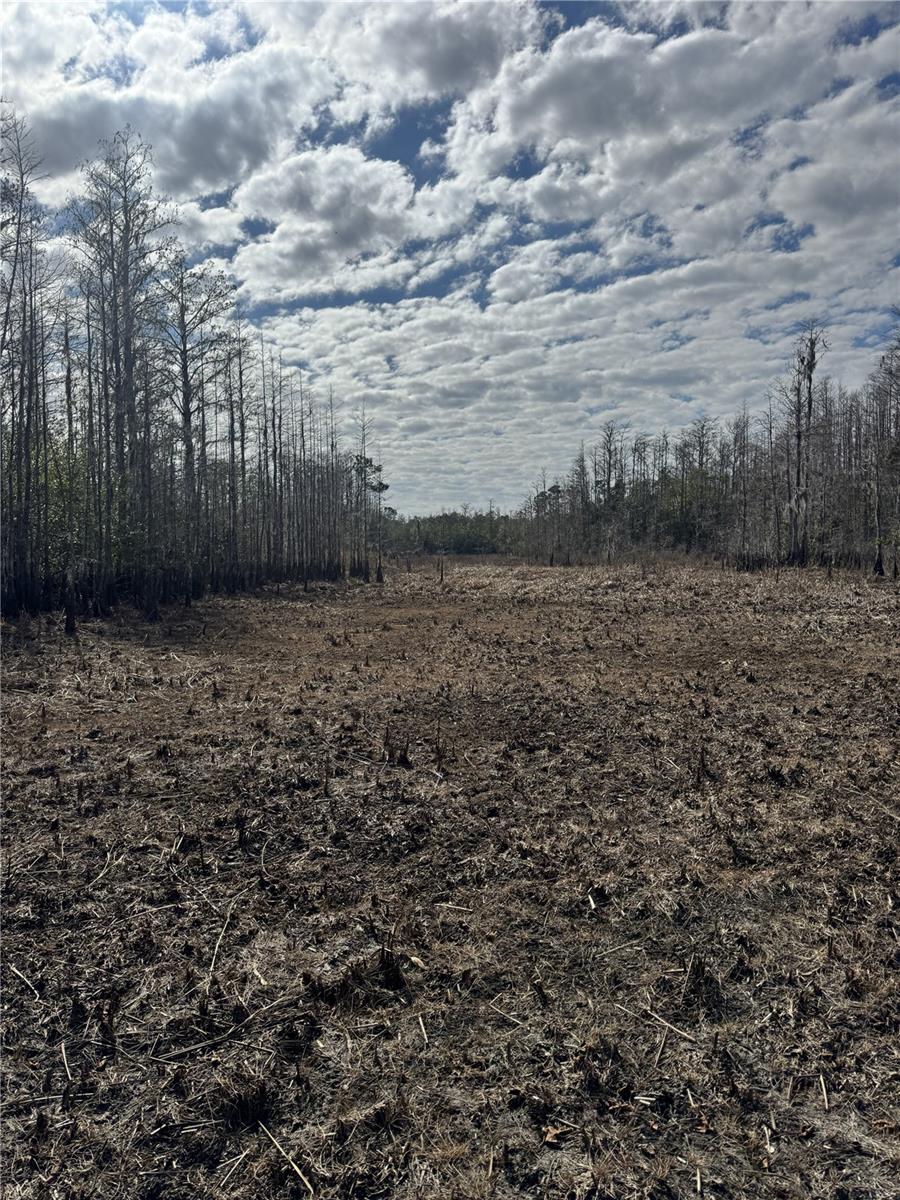 Image 11 of 12 For 5700 Lake Erie Road