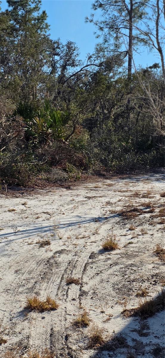 Image 9 of 12 For 5700 Lake Erie Road