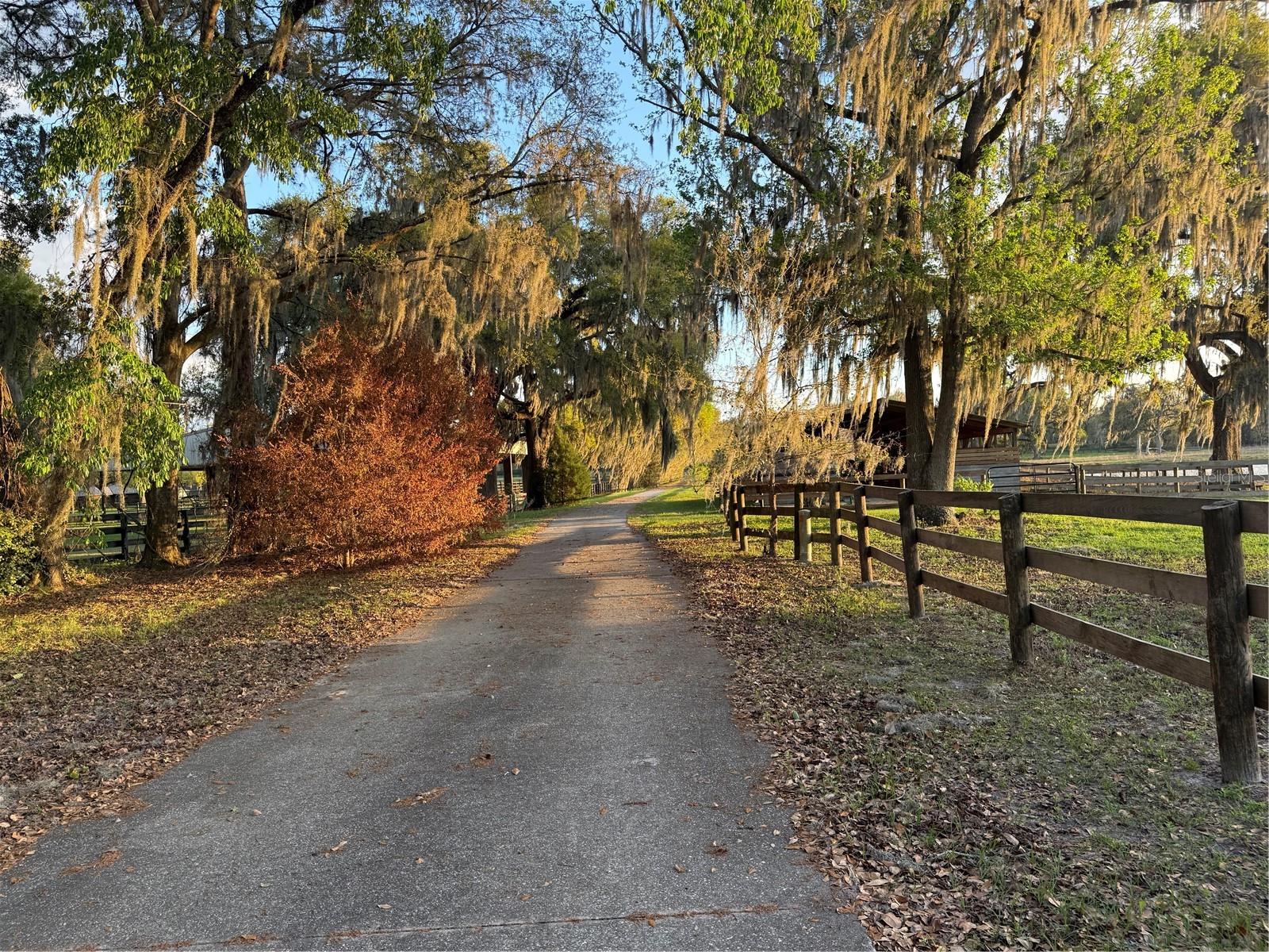 Image 59 of 68 For 10555 28th Place