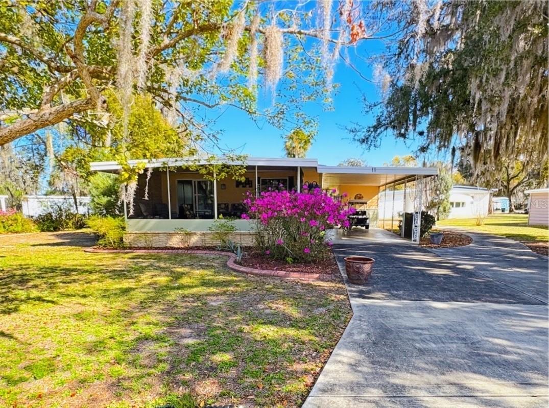 Details for 11 Bobwhite Road, WILDWOOD, FL 34785