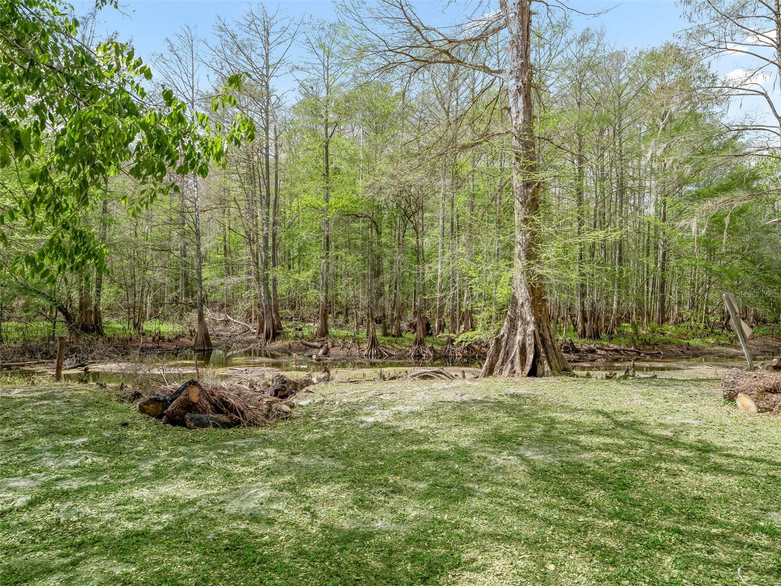 Image 20 of 32 For 8701 Cr 647 S