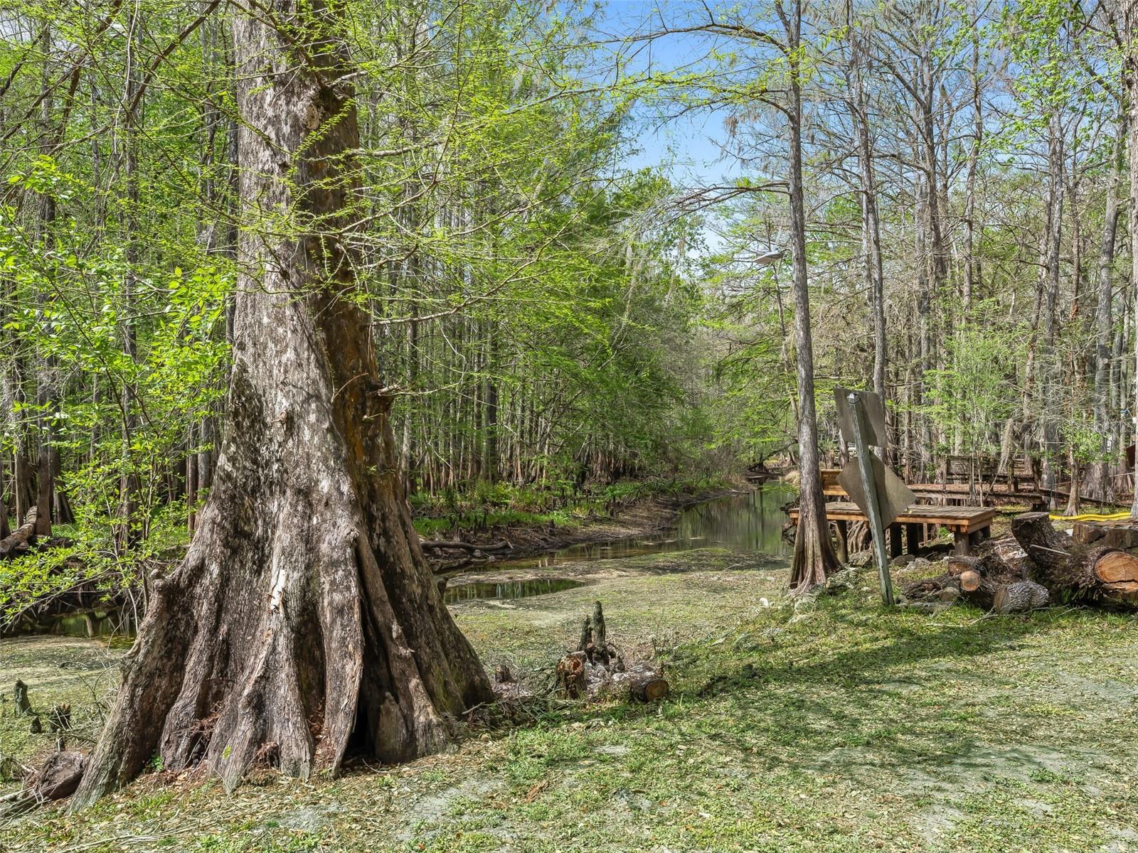 Image 21 of 32 For 8701 Cr 647 S