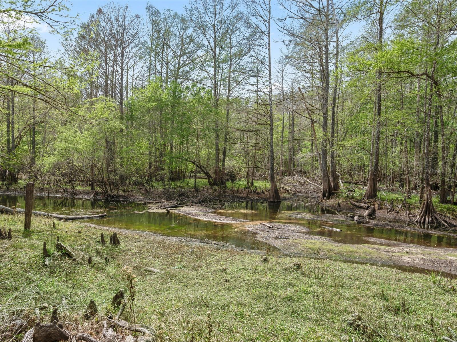 Image 22 of 32 For 8701 Cr 647 S