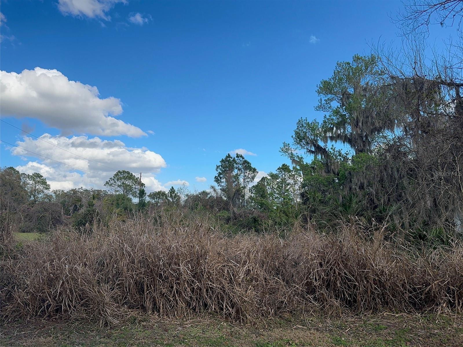 Image 15 of 18 For  Cove Road 