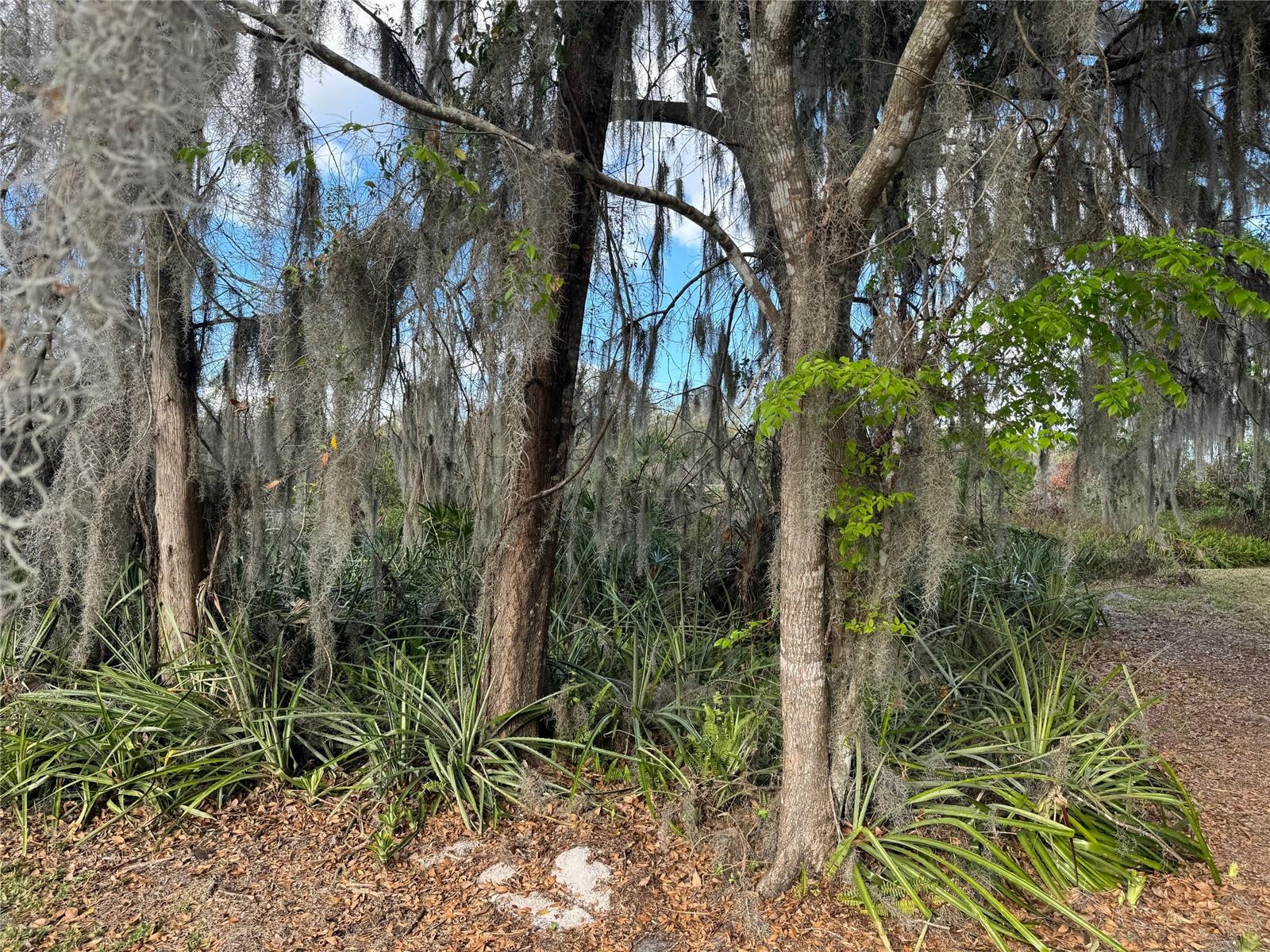 Image 16 of 18 For  Cove Road 