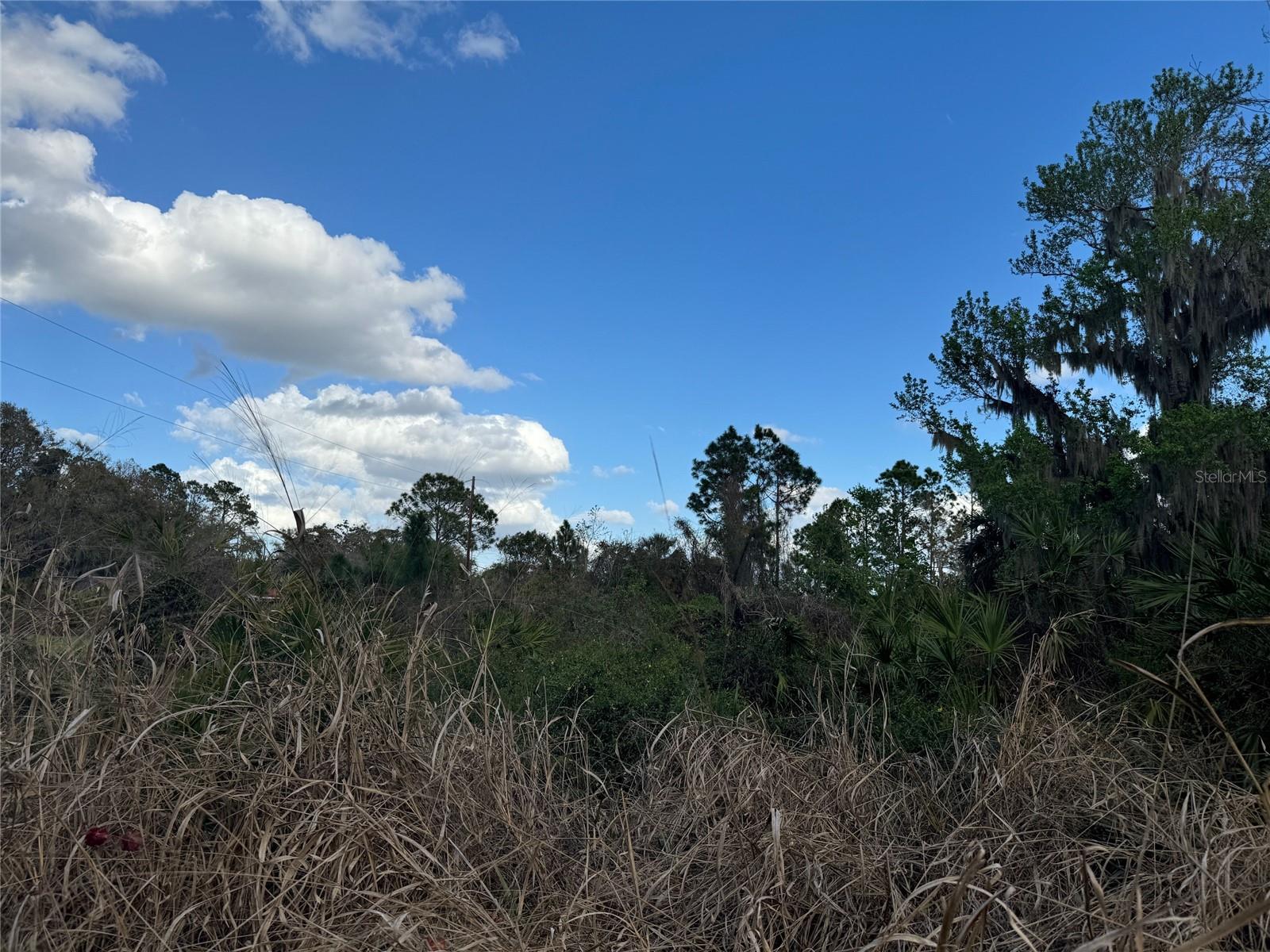 Image 17 of 18 For  Cove Road 