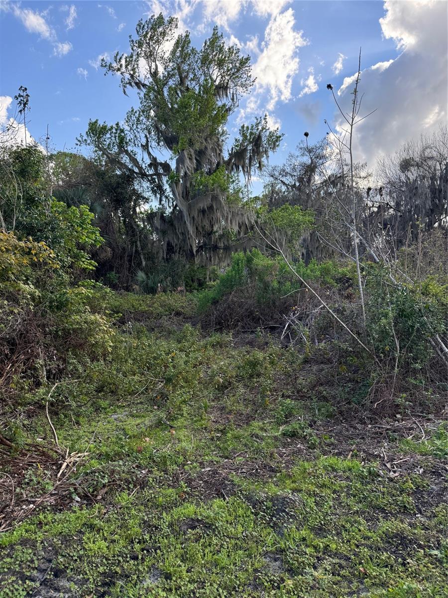 Image 5 of 18 For  Cove Road 