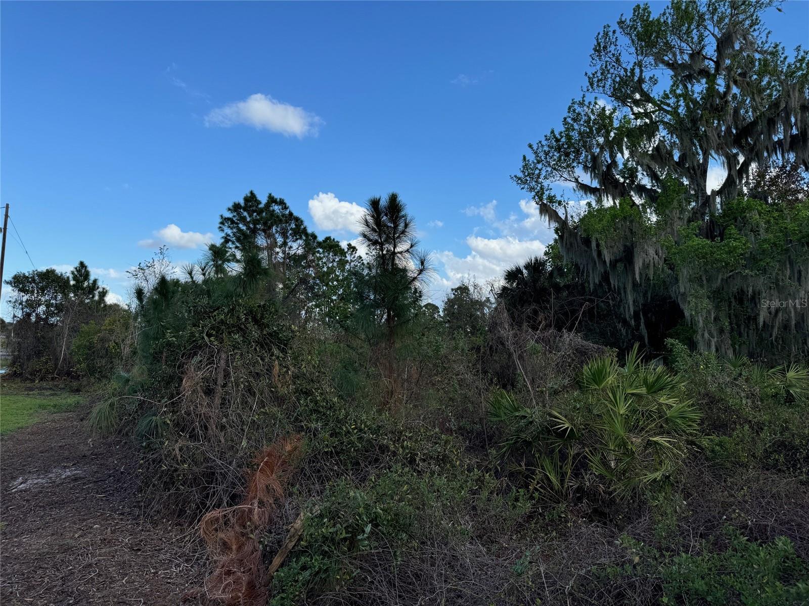 Image 6 of 18 For  Cove Road 