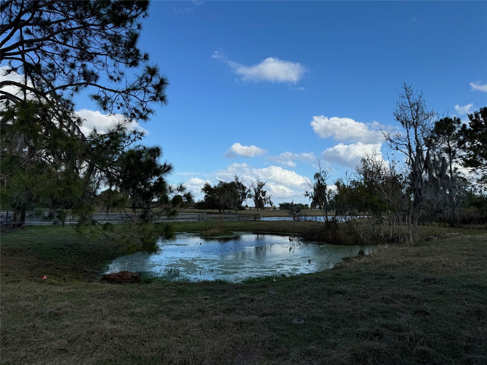 Image 7 of 18 For  Cove Road 