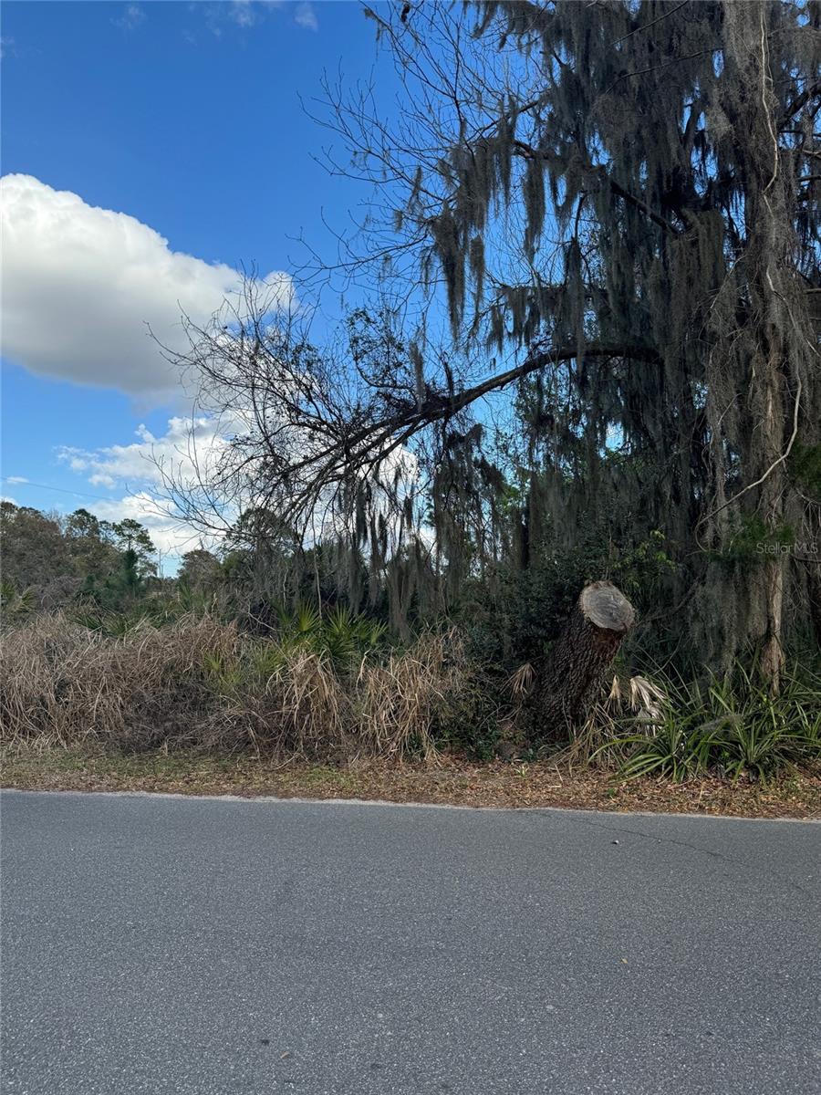 Image 9 of 18 For  Cove Road 