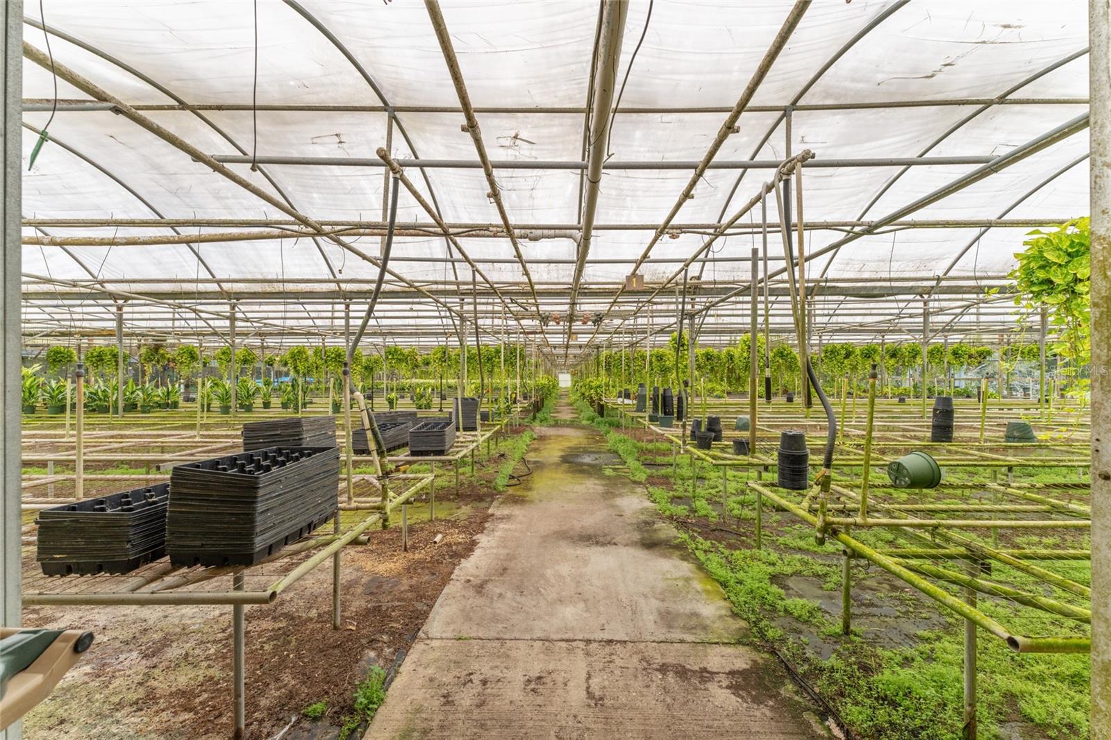 Image 8 of 44 For 32511 County Road 437