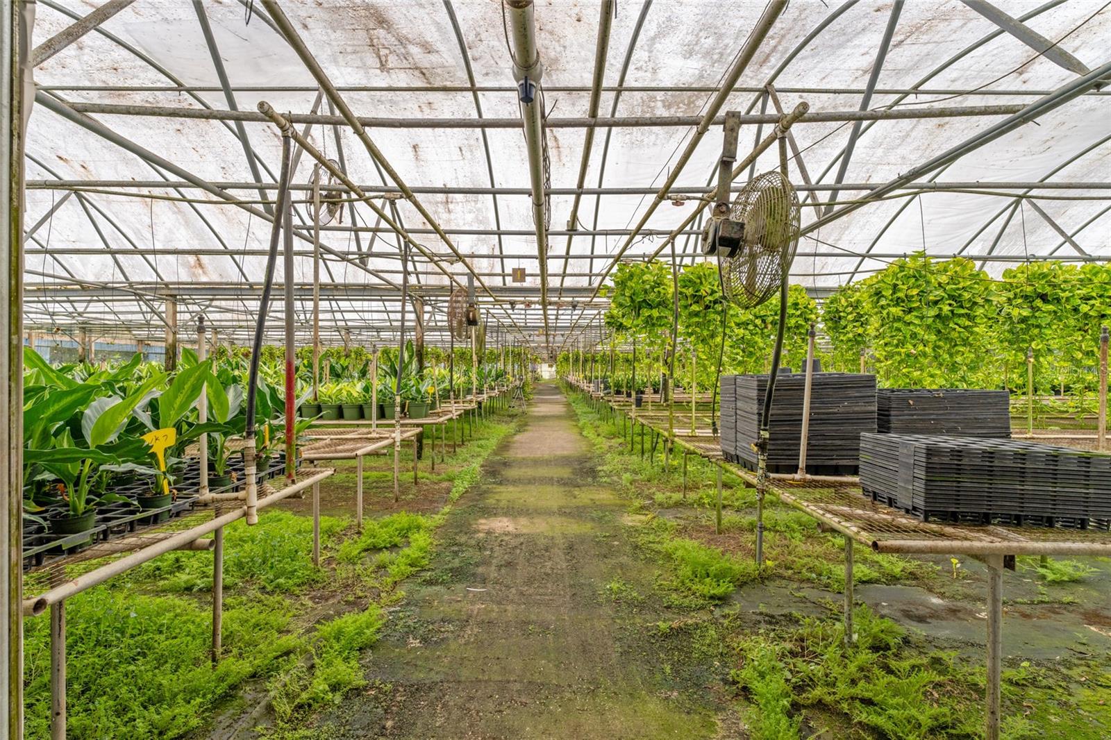 Image 9 of 44 For 32511 County Road 437