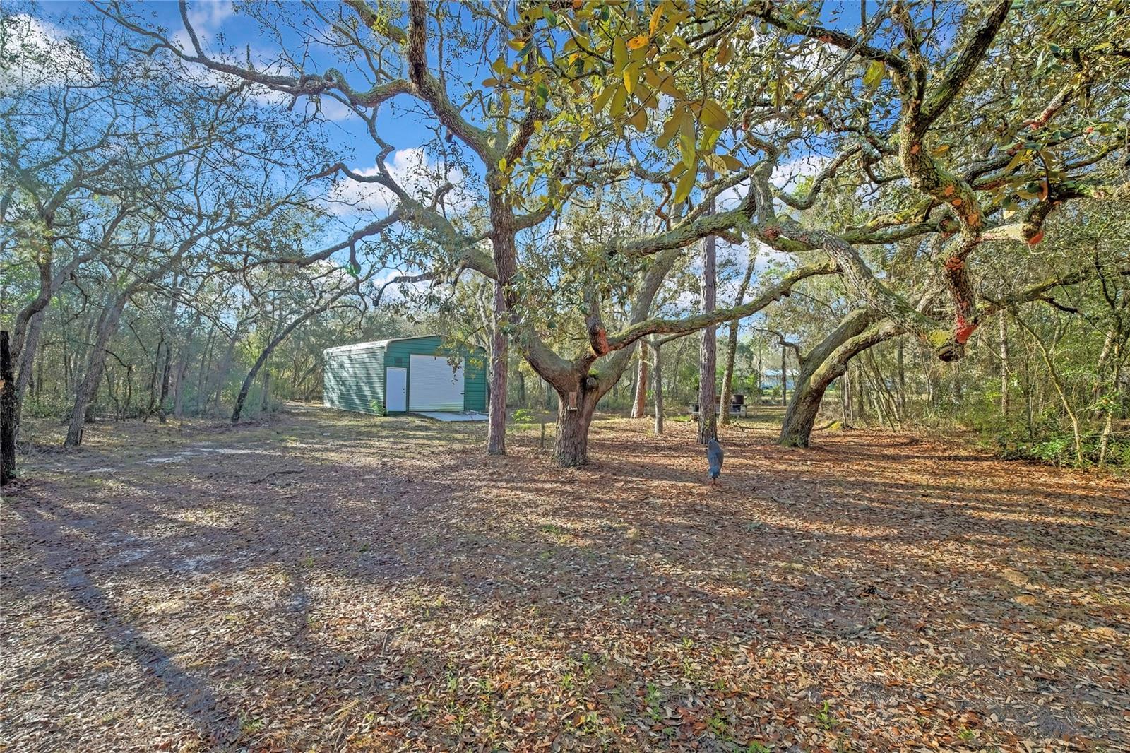 Image 51 of 59 For 340 Savoy Street