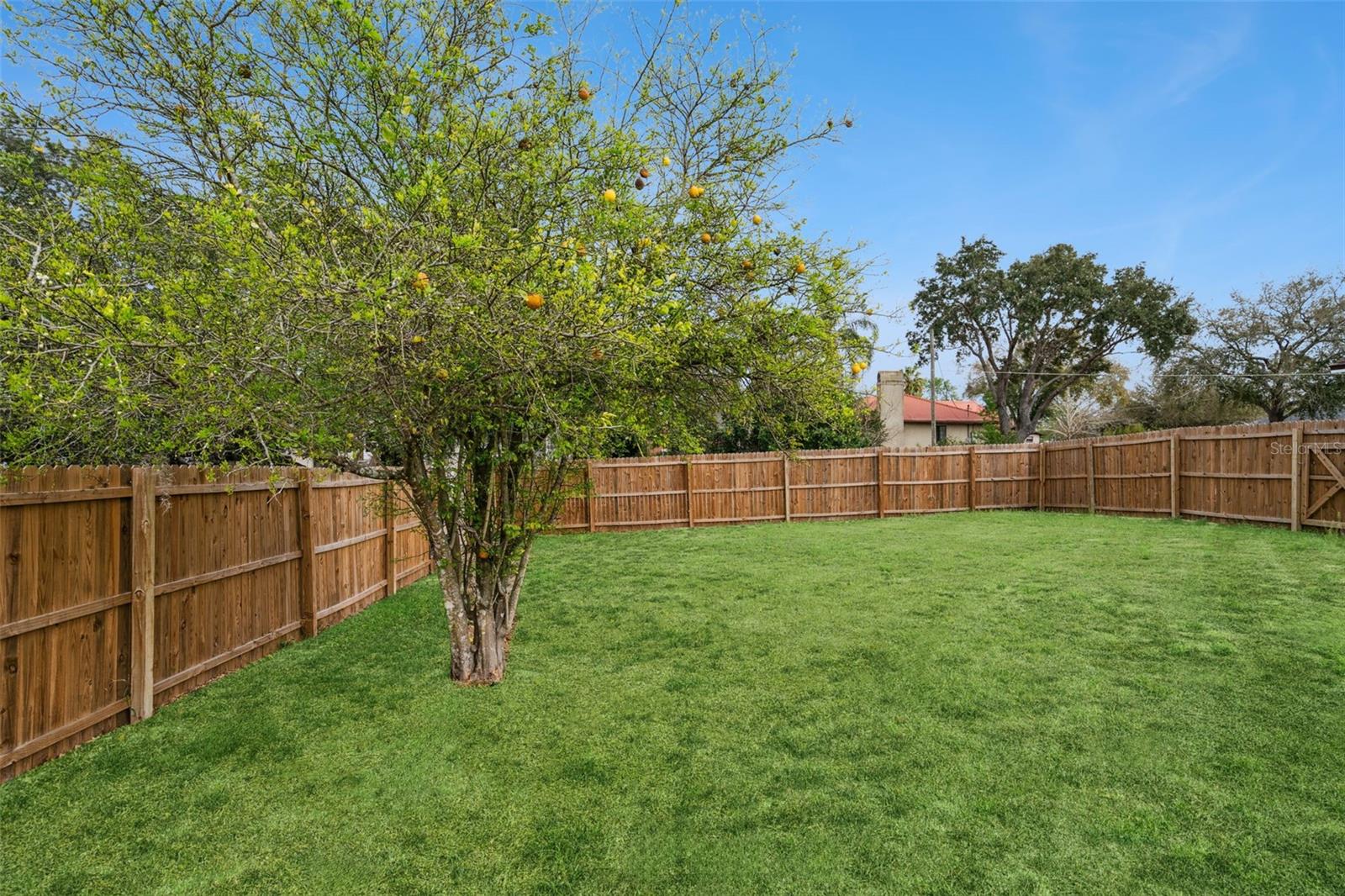 Image 24 of 24 For 11045 Pine Street